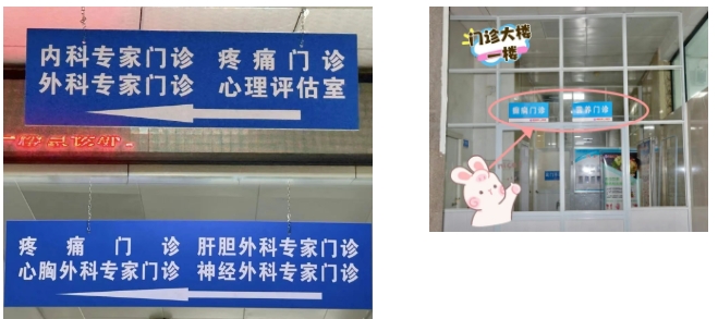 门诊“大变身”？ 专家在身边 就医更方便